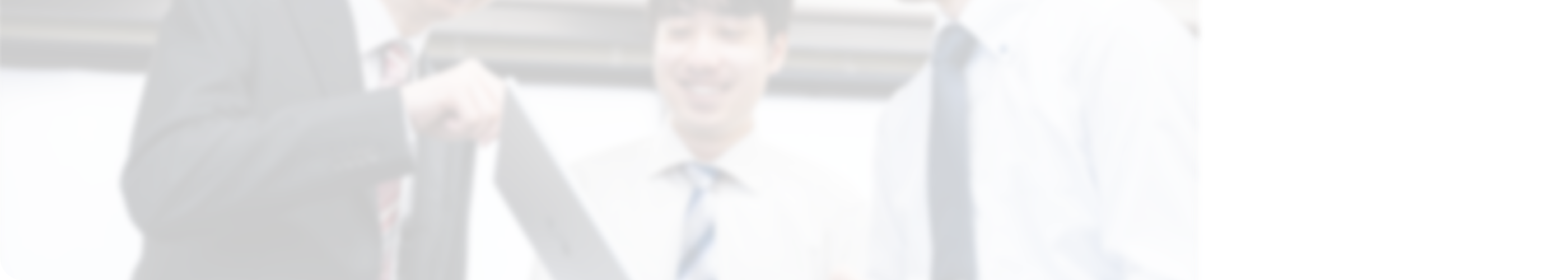 事業領域